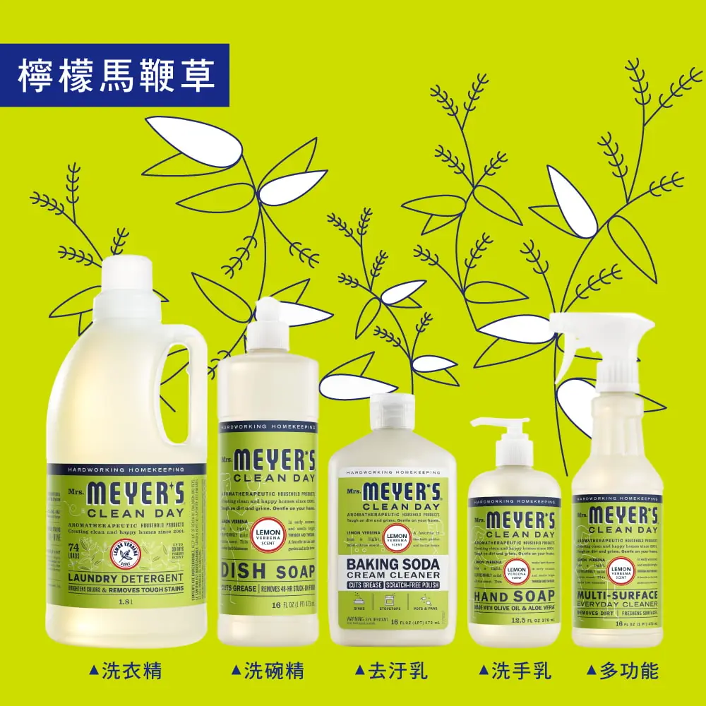 mmcd handwashLV4a