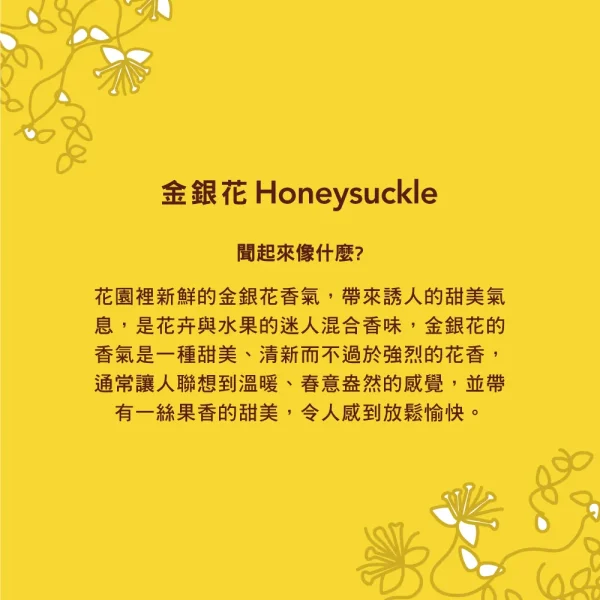 洗手乳 – 金銀花：圖片 3