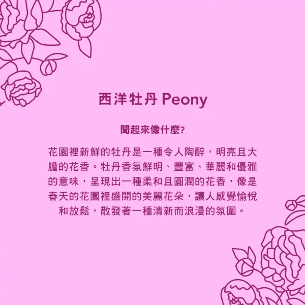 洗碗精 – 西洋牡丹 473ml：圖片 3