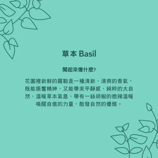 洗手乳補充瓶 – 草本 975ml：圖片 3