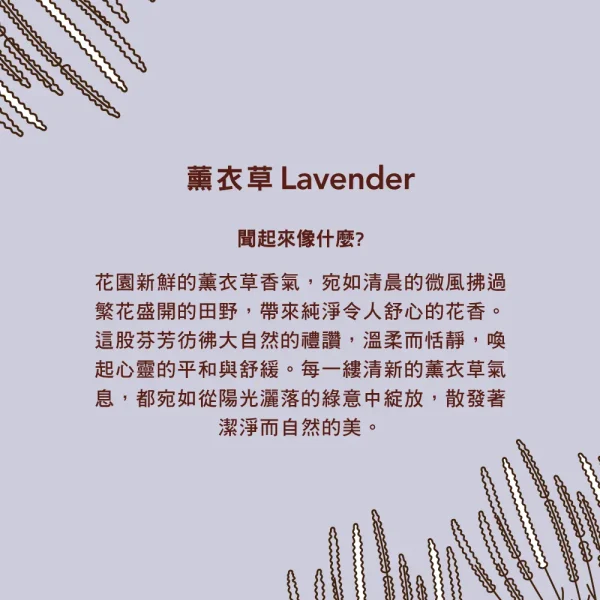 多功能清潔劑 – 薰衣草 473ml：圖片 3