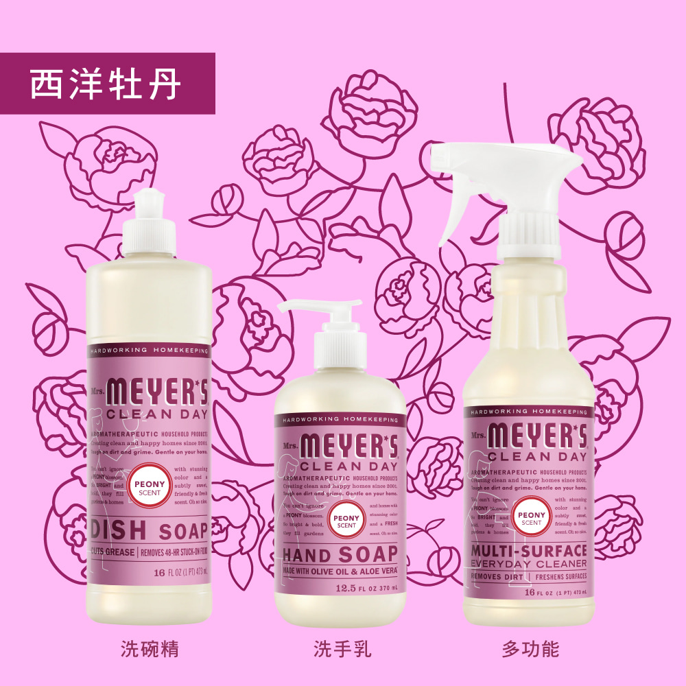 香氛洗碗精 西洋牡丹 17 mmdishPE5